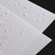 Load image into Gallery viewer, Waterproof Full Color Prints - Fidjiti