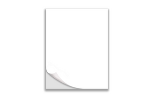 Full Sheet Sticker Paper - White Weatherproof Polyester - Fidjiti